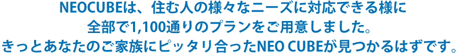 NEOCUBEは、住む人の様々なニーズに対応できる様に全部で1,100通りのプランをご用意しました。きっとあなたのご家族にピッタリ合ったNEO CUBEが見つかるはずです。 