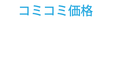 コミコミ価格：1,250万円[税別]